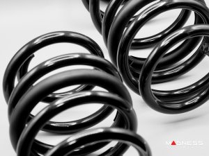 Dodge Hornet Lowering Springs - Eibach - JQ